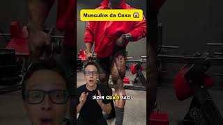 Músculos da Coxa 😱medicina medico academia treino musculação musculacao anatomia enfermagem [upl. by Attenal]