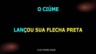 Caetano Veloso • O ciúme [upl. by Nylecaj229]