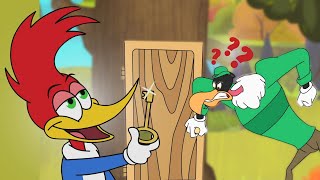 Woody Woodpecker Complete Season 1 Compilation  Cartoons For Kids  WildBrain Max [upl. by Eceer49]