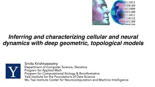 BrainMap Mapping brain dynamics and trajectories with geometric and topological machine learning [upl. by Aivalf]