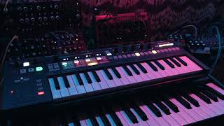 Chill Sunday Ambient Oberheim TEO5 Behringer Crave Model D Cat [upl. by Klenk]