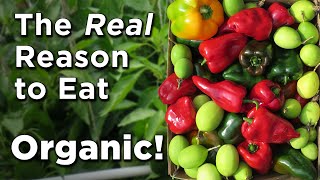 nonGMO amp USDA Organic Explained  Ask Organic Valley [upl. by Zea]