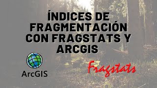 Cálculo de métricas de fragmentación utilizando FragStats y ArcGIS [upl. by Fan]