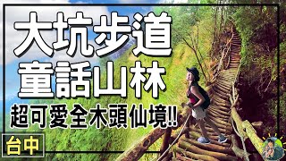 全木頭建造的森林步道？就在台中阿！童話秘境裡可以練體力？！大坑步道 [upl. by Ahsinrat]