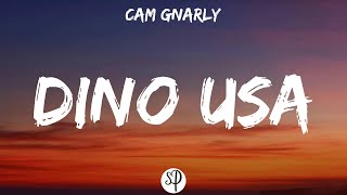 Cam Gnarly  DINO USA Lyrics [upl. by Elem]