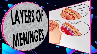 Meningeal Layers Nervous System Part 9Full Explanation in Hindi  By NG Medicals [upl. by Anircam290]