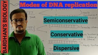 Modes of DNA replication Semiconservative Conservative amp Dispersive in HINDI [upl. by Divine514]