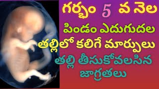 Pregnancy 5th Month Symptoms in Telugu pregnancybabygrowth [upl. by Nevs317]