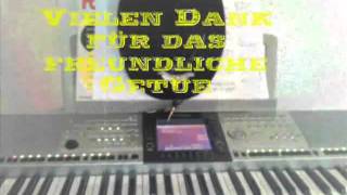 Vielen Dank für das freundliche Getue Cover mit Lyrics [upl. by Finnigan]