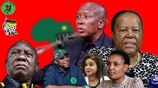 Julius Malema Speaks on MK Party Shivambu Naledi Pandor Scandal GNU VBS and Open Boarder Policy [upl. by Aicnom464]