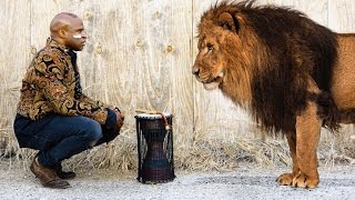 Heart of A Lion  Alex Boye [upl. by Zerep]