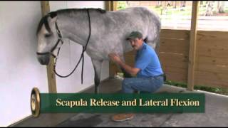 The Basic Scapula Release from Dressage Movements Revealed video [upl. by Agnizn]