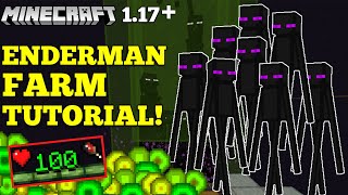 Minecraft 117 Enderman Farm  INSANE XP [upl. by Durrell138]