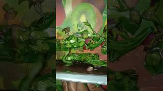 Basale Soppina Palya  Check out Ingredients in description👍 [upl. by Sutsuj]