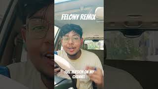 Felony Remix  Talha Yunus  Seedhe Maut  Faris Shafi rap dhh hindirap desihiphop [upl. by Enawyd986]