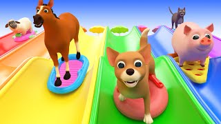 Animals for Kids and Toddlers SLIDDING INTO THE WATER Funny Animals Videos for Kids and Songs [upl. by Maurili]