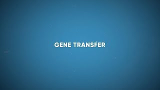 CF Foundation  Gene Transfer [upl. by Yelah]