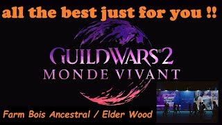 gw2  guide Farm Bois Ancestral  Elder Wood  for easy gold  po [upl. by Htbazile174]