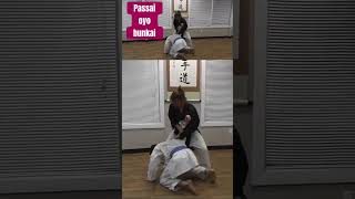 Passai oyo bunkai demo passai kata bunkai [upl. by Santana]