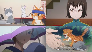 Ramen Akaneko episode 8 reaction ラーメン赤猫 RamenAkaneko anime RedCatRamen animereaction newanime [upl. by Elleb]