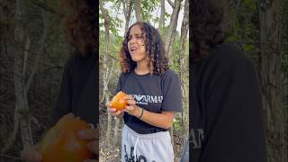 Tomate o manzana 🍎 🤣 humor comedia [upl. by Rothenberg]