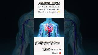 Human heart🫀anatomy🫀physiology🫀 heartbeat neetmedicalmbbsdoctornew video shorts video🫀 [upl. by Adnertal405]