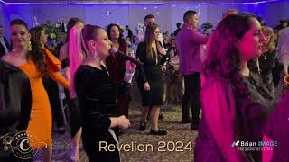 Denisa Tanigoi amp AVA Music  Mândrulița mea din Verendin  Revelion 2024 Confort Ballroom Deta [upl. by Riess559]