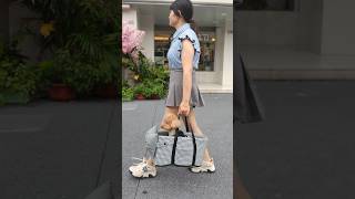 👜2024 Pet easy carry Bag shopify shorts pets cat dropshipping dropshippingagent ecommerce [upl. by Alemrac]