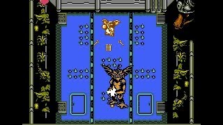 Gremlins 2  Nes  The New Batch  Full Playthrough  No Death [upl. by Ralston720]