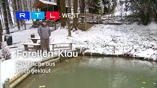 ForellenKlau 250 Fische aus Teich geklaut I RTL WEST 28112023 [upl. by Enomrej]