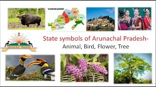 State Animals Birds Trees and Flowers of IndiaSTATIC GK SPECIALBy Swetha mam [upl. by Phaidra442]