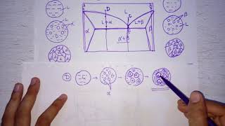 Lecture 17 Microstructures on eutectic and eutectoid phase diagram [upl. by Eerej]