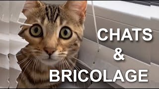 CHATS amp BRICOLAGE [upl. by Adnoel]