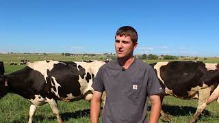 Organic Producer Perspectives  Colorado Dairy [upl. by Nospmis]