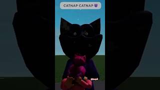 A MÚSICA MAIS IRRITANTE DO CATNAP gamer poppyplaytime [upl. by Suellen993]