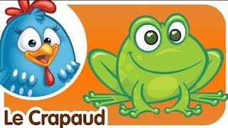 le crapaud poulette petit pois [upl. by Adaval]