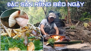 TRỞ LẠI RỪNG  ĐẶT BẪY  BẮT ĐẶC SẢN BÉO NGẬY  Khói Tây Nguyên [upl. by Inahpets383]