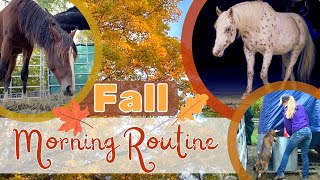 Equestrian Fall Morning Routine 🍁 Caring for my wild mustangs and personal horses [upl. by Ppik]