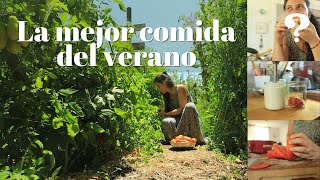 Sin esto no es Verano Cocina conmigo 💚🍅 y el truco para que la Mayonesa casera dure MESES [upl. by Stimson]