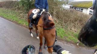 Motorcyclists Helping Horse Riders [upl. by Male]