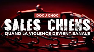 DOCU CHOC 😱 SALES CHIENS  Quand la violence devient banale [upl. by Anairb]