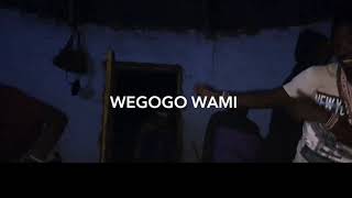 SangomaMusic Wegogo wami [upl. by Anitnerolf]