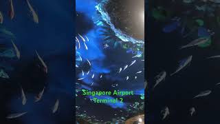 Garden spotted Singapore Terminal 2youtubeshorts singaporeairport trending viralshort shorts [upl. by Drofhsa166]