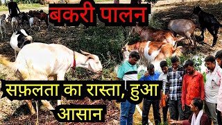 देखावा नहीं 100सच्चाई जो आप जानते हैं उससे आगे भी बहुत कुछ है  Goat Farming Tips Hindi me bakri [upl. by Einoj]