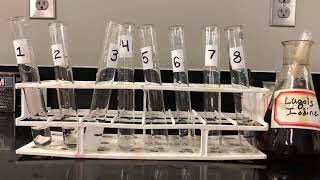 Iodine Test for Starch [upl. by Ille78]