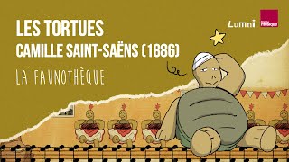 SaintSaëns  Les Tortues  La Faunothèque [upl. by Jennilee]