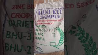 Best seed zinc biofortified treatment for wheat wheat organicfarming [upl. by Ailen368]