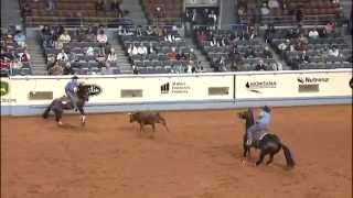 2009 AQHA WORLD SHOW  HESA BUSY DOC [upl. by Mendoza]