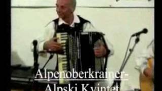 Alpenoberkrainer Live Schöne Kärntnerin wmv [upl. by Aham829]