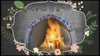 Hinei Ma Tov by The Kapelle Lag Baomer 5776 [upl. by Anitrak]